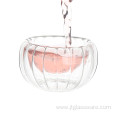 Double Wall Glass Tea Cup